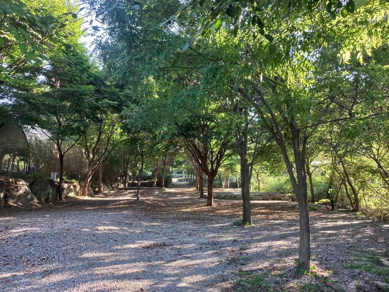 하이몽글램핑&캠핑장 시설 사진 2