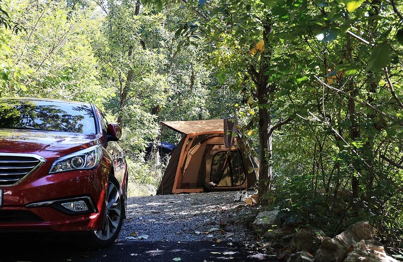 춘천 더숲 캠핑장 시설 사진 3