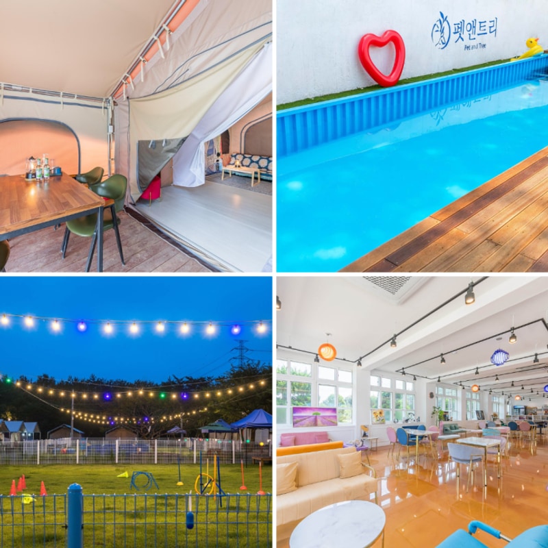 애견동반 글램핑 서울근교 놀거리 많은 서산 펫앤트리펜션