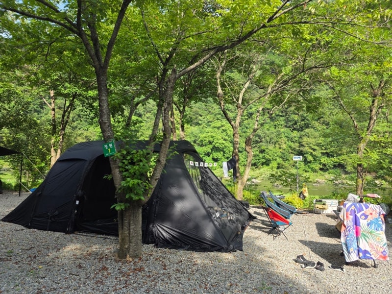 첫 캠핑) 영월 정원캠핑장 feat. 고파미르 TN600 블랙 에디션