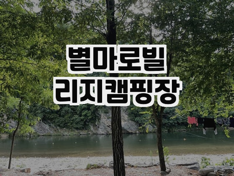 강원도 영월 별마로빌리지캠핑장 캠핑 후기 ️