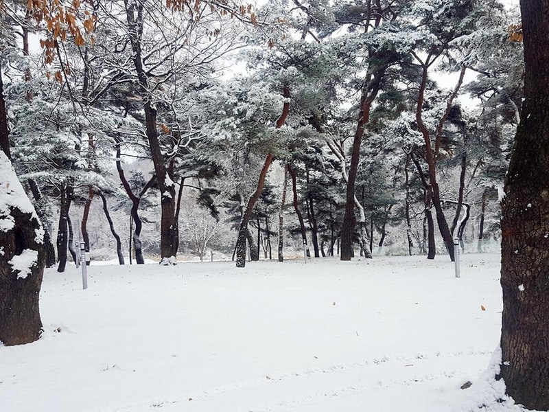 후평숲캠핑장 시설 사진 1