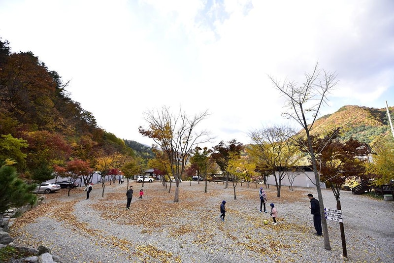 소풍캠핑장 시설 사진 23