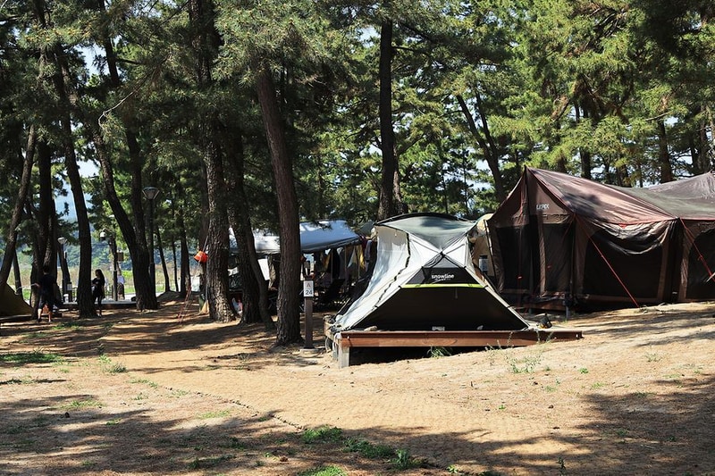 맹방 비치캠핑장 시설 사진 5