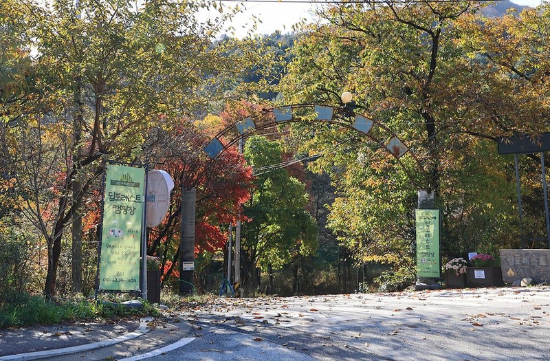 딥포레스트캠핑장 시설 사진 1