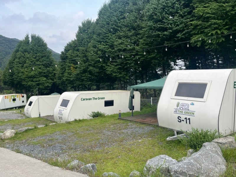 제천 카라반 더그린에서 즐기는 숲속 힐링 캠핑