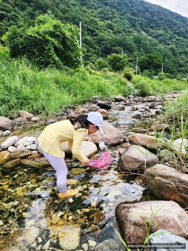 여름의 끝, 8월 말 우리의 기록 (+월악산 레트로 캠핑N민박)
