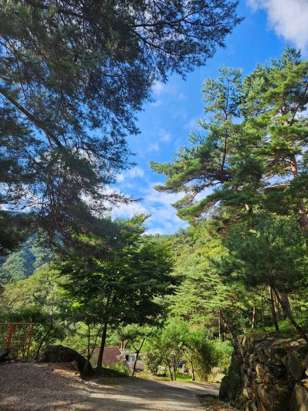 2024년 3번째, 홍천 개암벌용소관광농원 캠핑장️