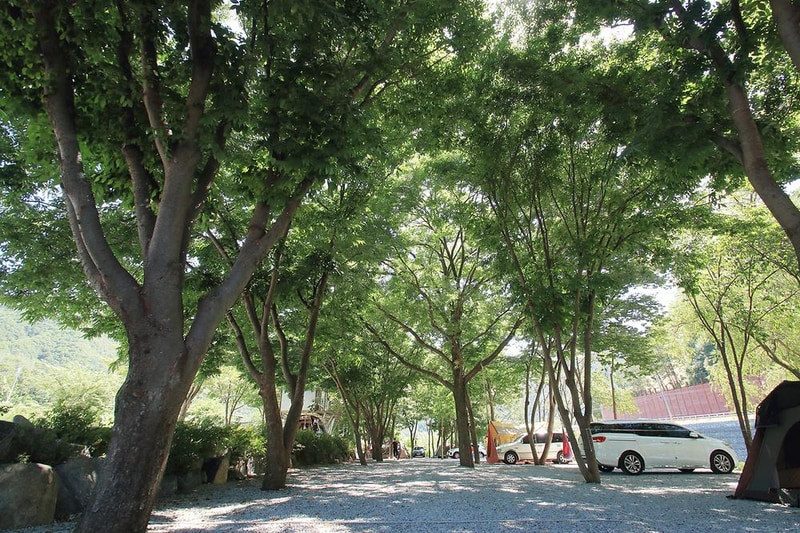 엉클캠프 시설 사진 3