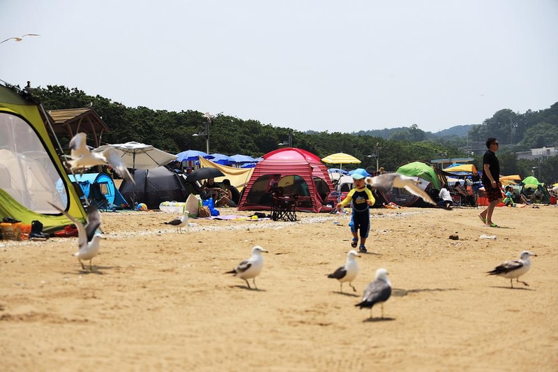 십리포해수욕장 야영장 시설 사진 23