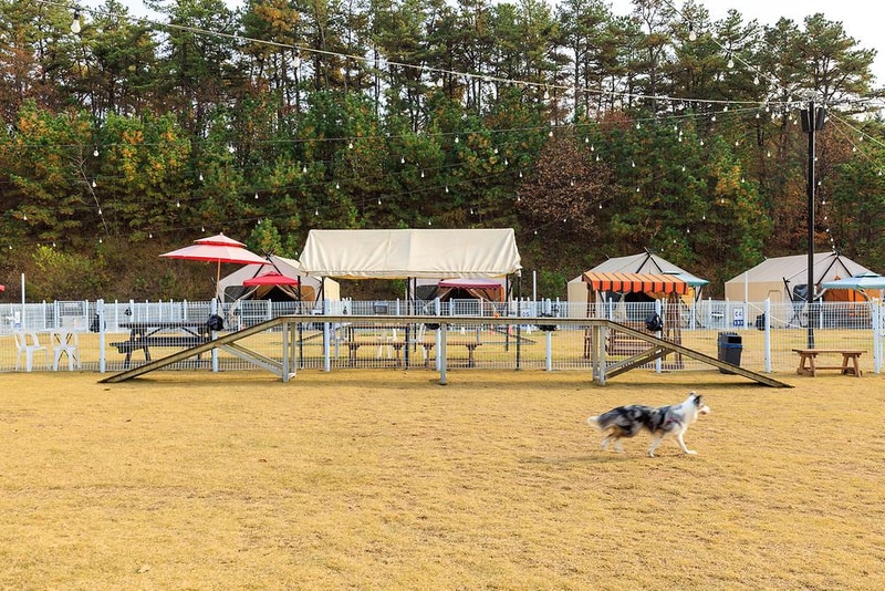 멍글멍글 펫글램핑 시설 사진 11