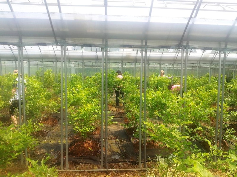 연미향마을 오토캠핑장 시설 사진 24