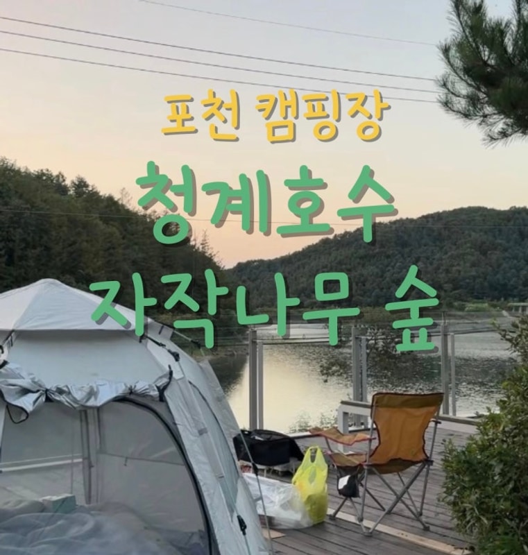 [포천 여행] 청계호수 자작나무 숲 캠핑장ㅣ뷰 맛집 포천...