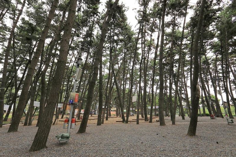 춘장대나드리캠핑장 시설 사진 4