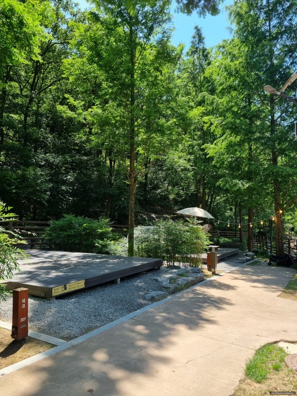 대구 수성구 캠핑장 캠프닉 진밭골 야영장 데크 명당