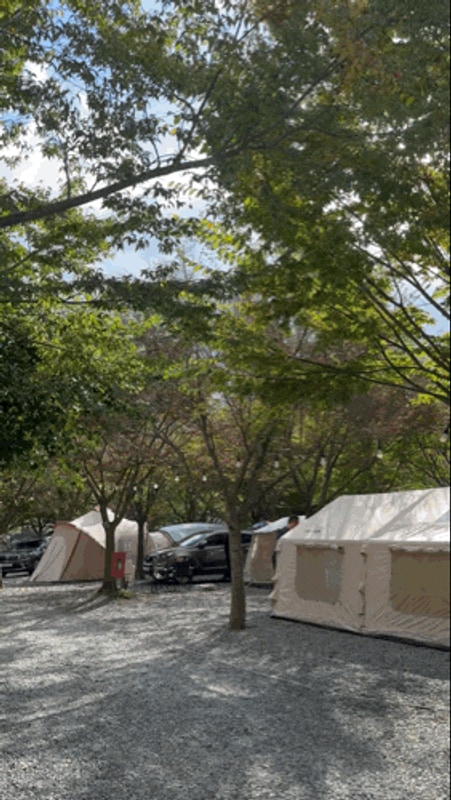 경남 키즈 캠핑장 추천 밀양 솔바람 오토캠핑장 솔직한 후기