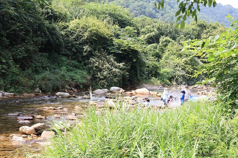 하우스 캠핑장 시설 사진 6