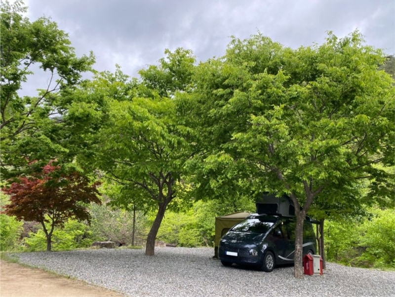 [경북 영양/내돈내산] 영양수비별빛캠핑장