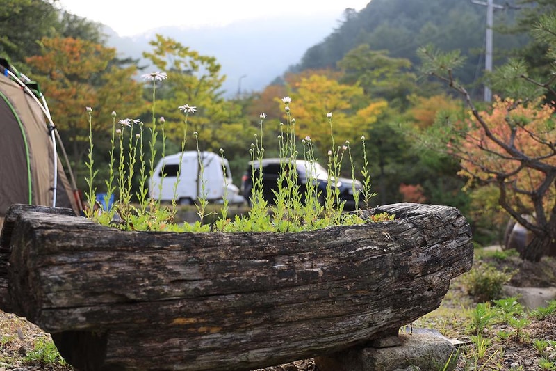 분지울작은캠프장 시설 사진 8