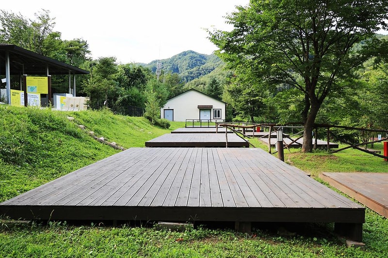 라이프위드도그 시설 사진 1