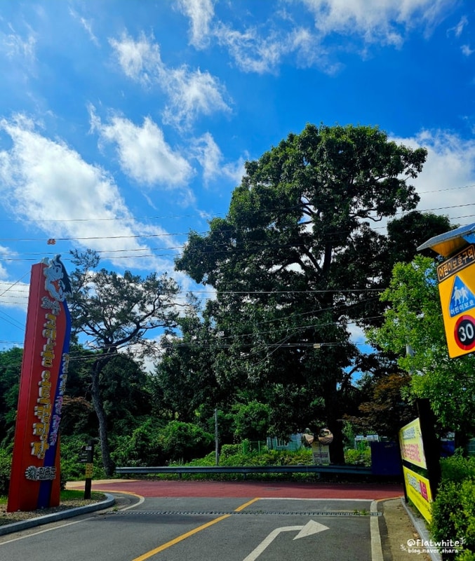 화순 여행 도곡 화순 고인돌 오토캠핑장 힐링 캠핑 후기