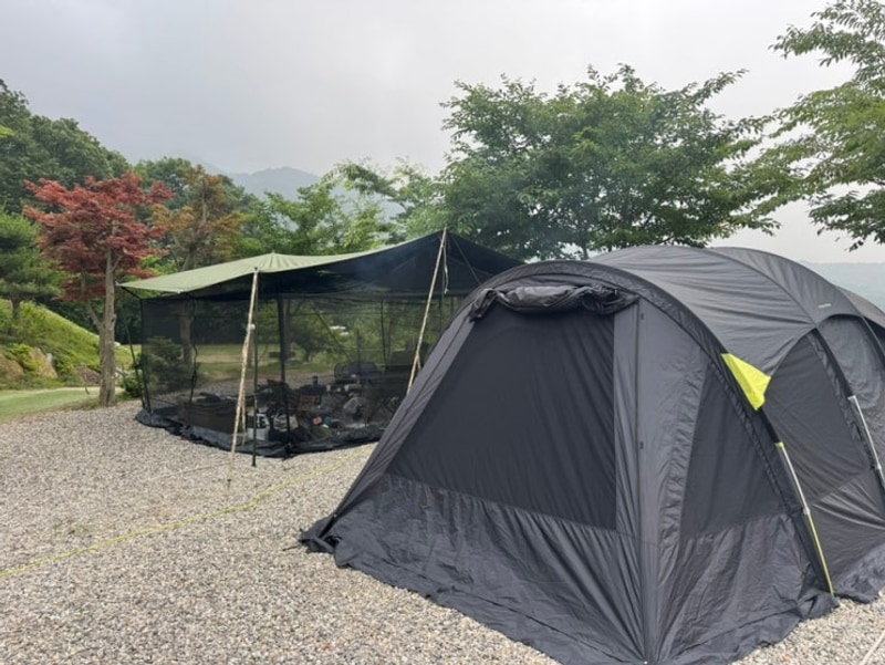 [남양주] 서울 근교 캠핑장 추천! 해자연 캠핑장 파크 스테이지...