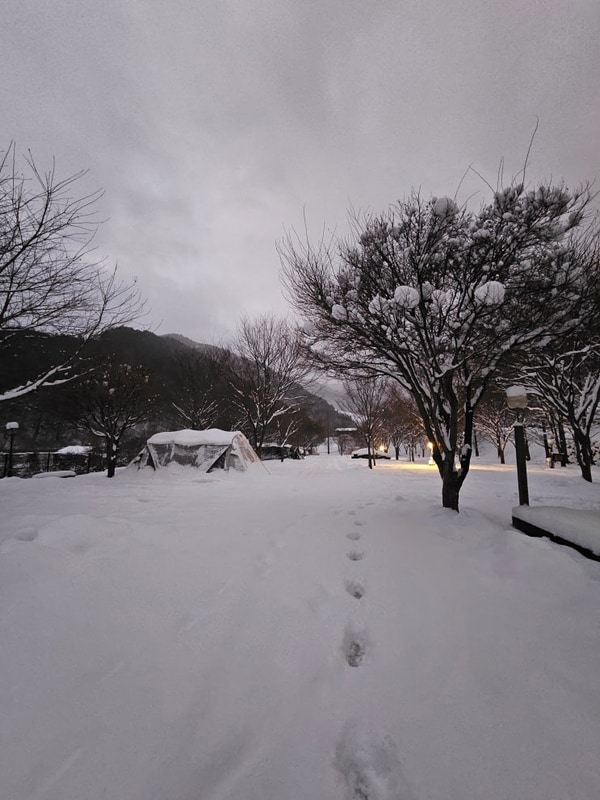 *일상* 1월 27일 ~ 2월 2일 * 설날 / 함양 캠프더포레 / 오늘도...