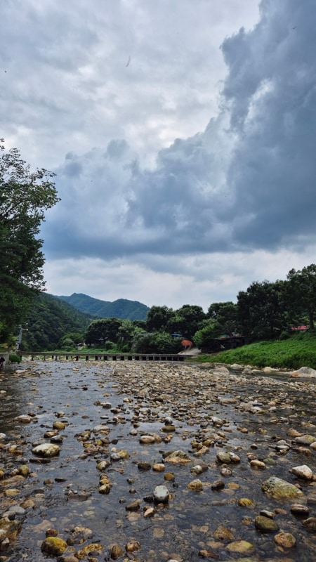 영월 서부시장 미탄집, 내리계곡 솔밭캠핑장