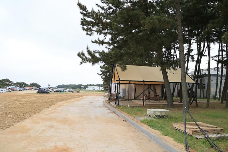 청포대솔밭야영장 대표 사진