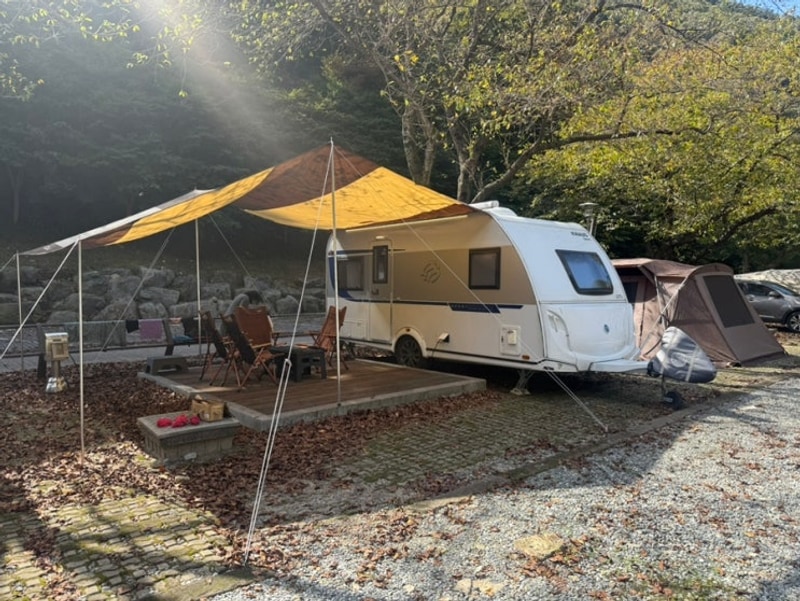 금산산림문화타운 남이자연휴양림 — 가을빛에 물든 힐링 캠핑