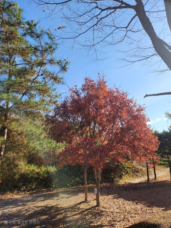 파주 JB캠핑하우스: 자연 속에서 힐링캠핑 가능!