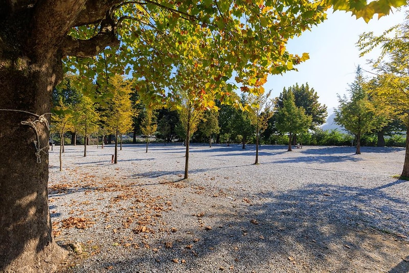 시골학교캠핑장 시설 사진 13