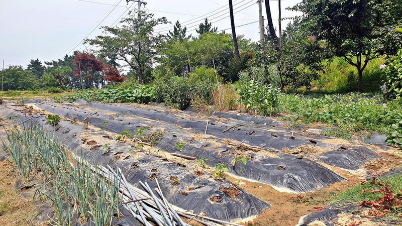 피구지 관광농원 시설 사진 2