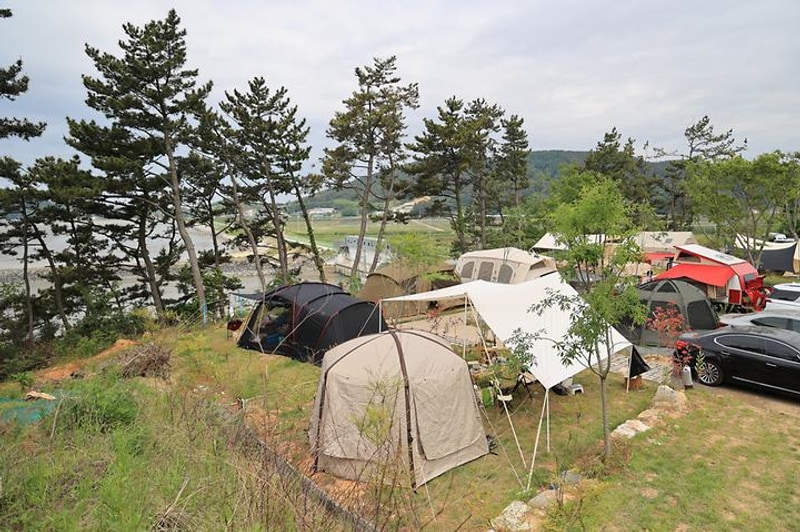 고요새 캠핑장 대표 사진