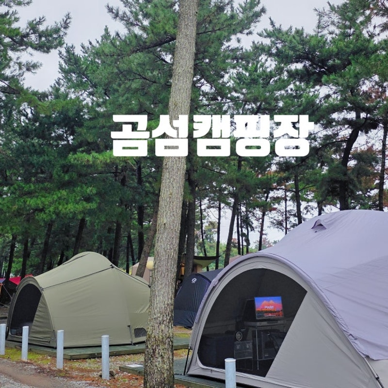 [충남 태안] 곰섬캠핑장 명당 사이트 추천 해루질 캠핑장 오션뷰...