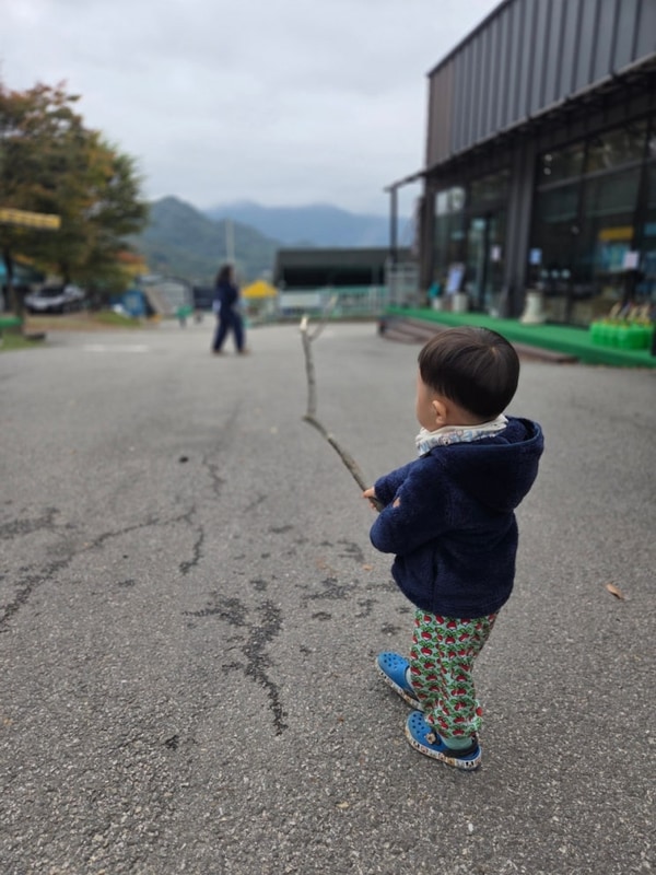 알멕스랜드/홍천 세이지힐/제천 선녀와나무꾼/포천 대회산캠핑장