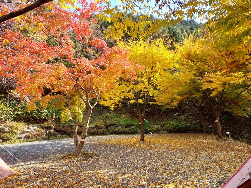 횡성산울림오토캠핑장 시설 사진 46
