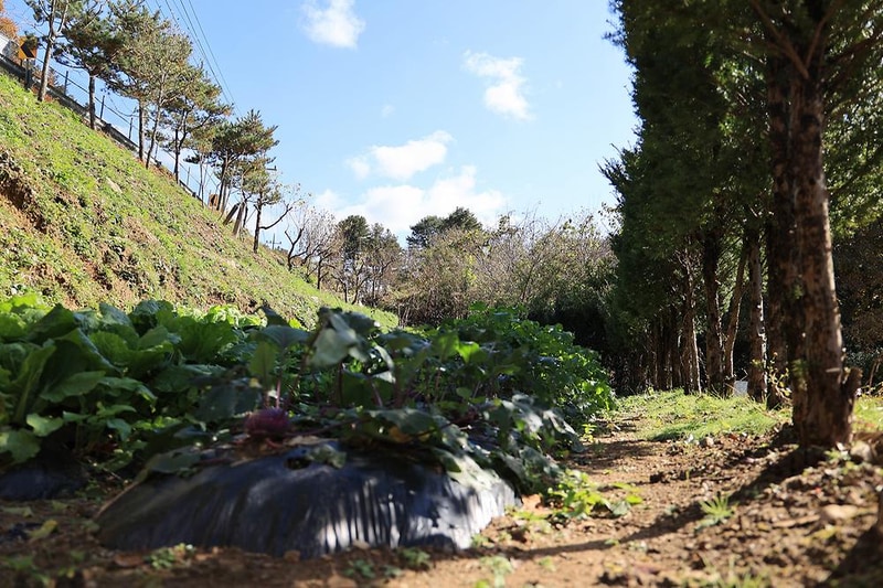 포천 땡큐247 캠핑장 시설 사진 11