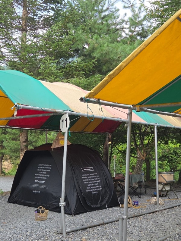 [강원도 영월] 무릉도원 캠핑장 - 강아지 동반 타프존...