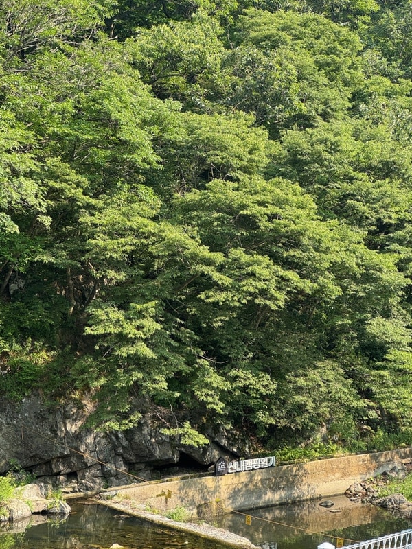 06. 뉴텐트로 첫 캠핑_산내캠핑일기_경주