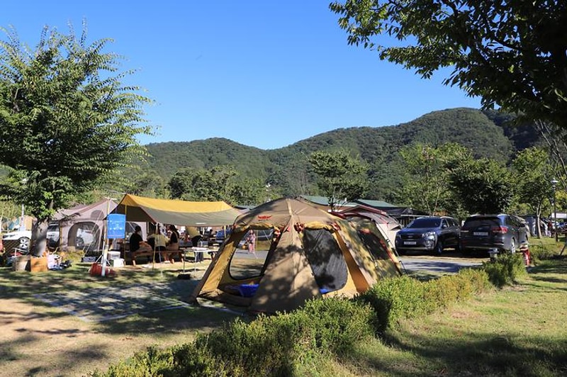 홍천강 오토캠핑장 대표 사진