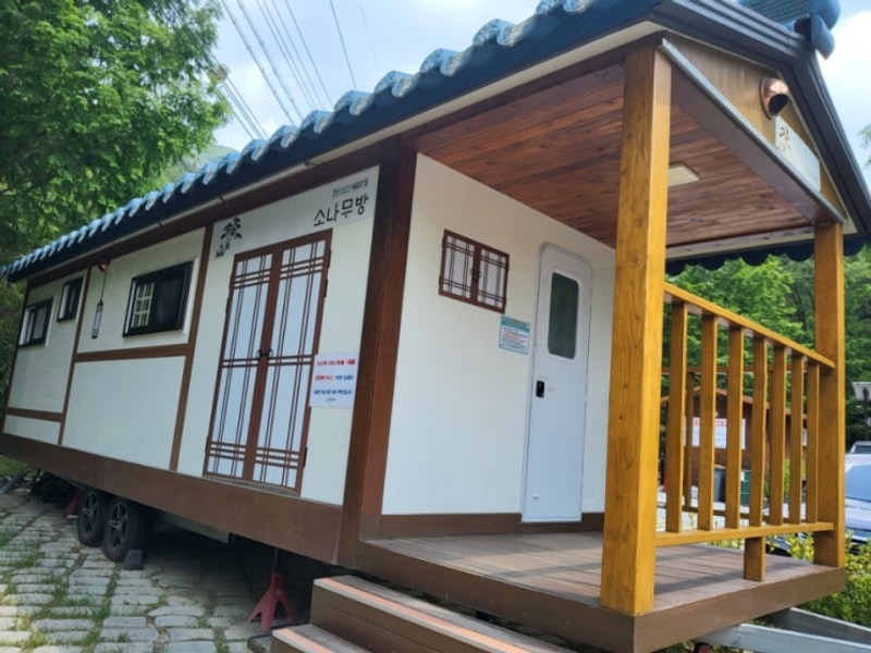 대구 진밭골 야영장 카라반 소나무방 1박2일 캠핑 솔직후기