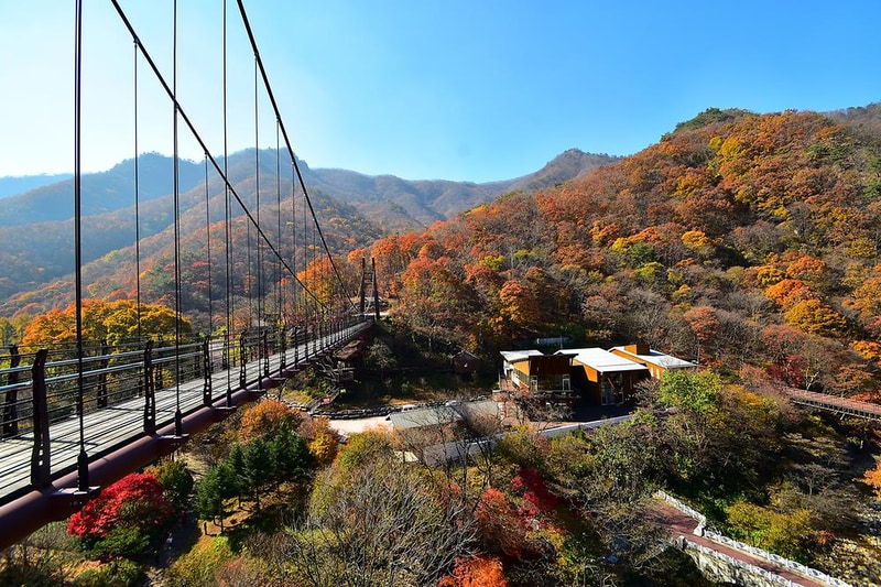 금산산림문화타운 시설 사진 19