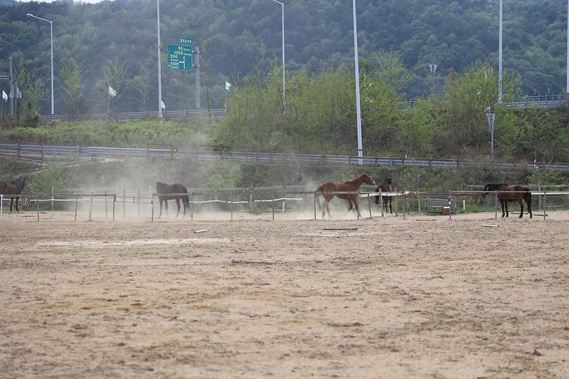 명파 해변 오토캠핑장 시설 사진 11