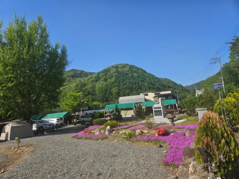 제천 패밀리오토캠핑장 캠핑중