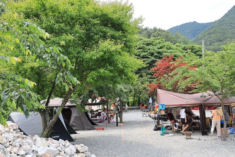 자연과함께 펜션캠핑장 시설 사진 13