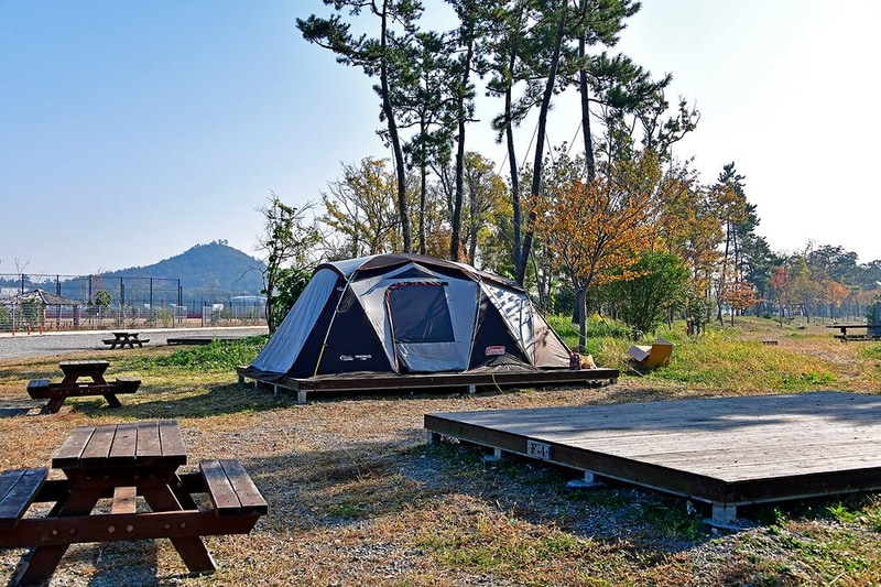 F1오토캠핑장 시설 사진 12