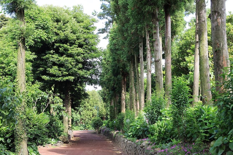 디-포레 카라반 파크 시설 사진 10