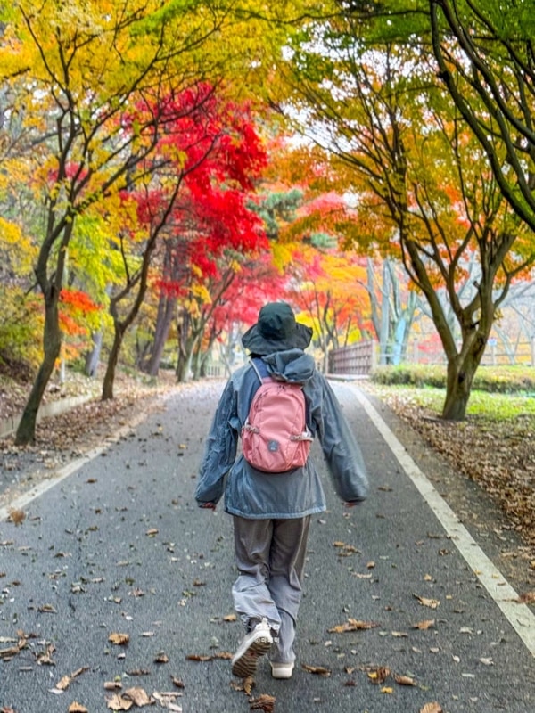 강화 마니산 단풍 나들이... 가봐야 할 국내 명소(+함허동천 야영장)