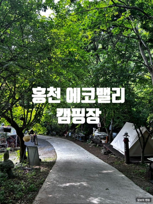 홍천 에코밸리 캠핑장 리얼후기 (차 빠져서 견인 부를 뻔 함..)